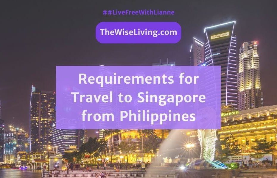 requirements for travel to singapore from philippines